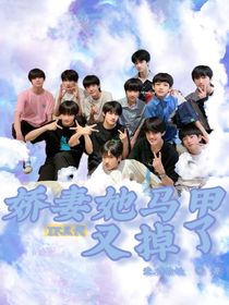 TF三代：娇妻她马甲又掉了