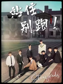 Straykids：站住，别跑！