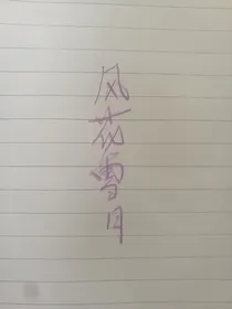 剑谱之风花雪月