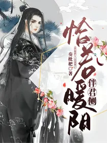 恰若暖阳伴君侧