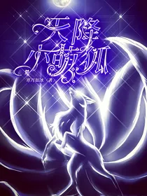 天降小萌狐