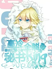 高冷全能秘书king