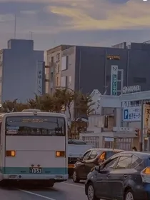 匿名：知更鸟