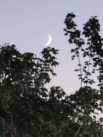 一觉醒来我穿越成炮灰女配这件事