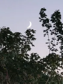 一觉醒来我穿越成炮灰女配这件事