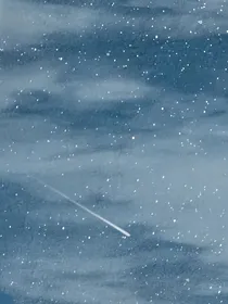 张真源：流星下的约定