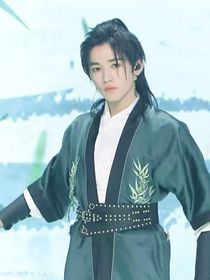 攻略了马少爷