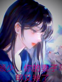 顾少你老婆马甲又掉了