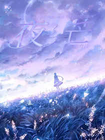 夜之芒
