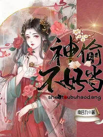 神偷不好当