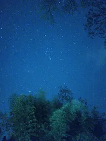 以安居