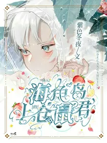查九：海龟岛上的仓鼠君，精修中，