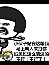 命运传说之凤凰