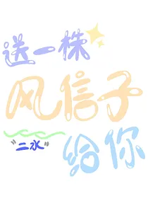 送一株风信子给你