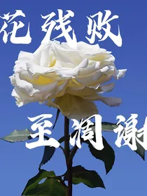 花残败至凋谢