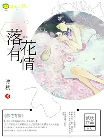 盗笔：落花有意