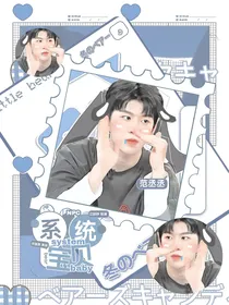 NPC：系统宝贝