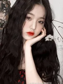 星汉灿烂：我的狐狸先生