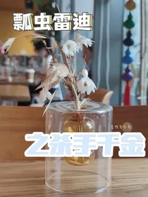 瓢虫雷迪：杀手千金