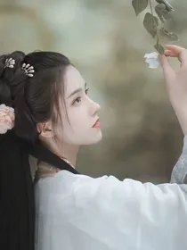 Hp：倾城倾姿的美人来自于东方