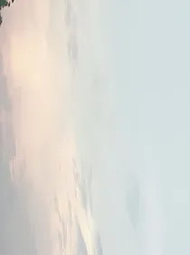 挽风归来时