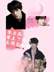 朱志鑫：爱上了我的系统怎么办