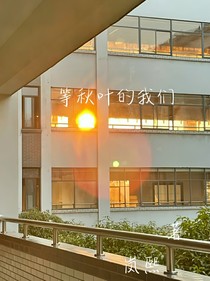 等秋叶的我们