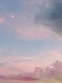 蓝银和狐狸的恋爱小说-d091