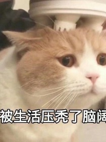马丝的一生
