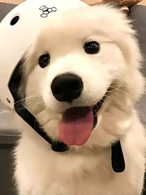 万亿少爷