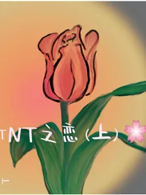 TNT之恋之小轩失忆篇