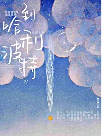 PY杂货铺