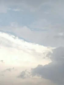 我姐姐不是我姐姐