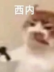 查九：向阳而生