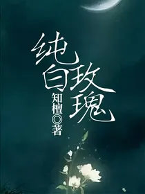 纯白玫瑰（泰版流星花园同人）