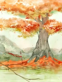 数间屋