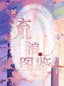 流浪图鉴