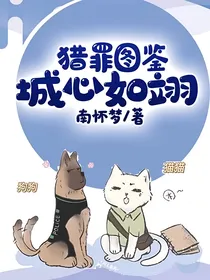 猎罪图鉴：城心如翊