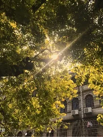 白迢港城