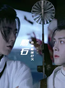 愁石：蓄谋