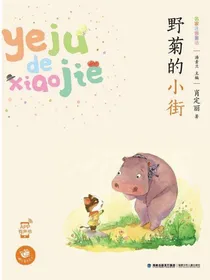 野菊的小街