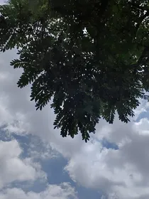 风吹不走