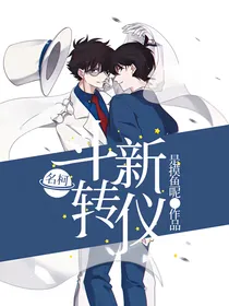 名柯：斗转新仪