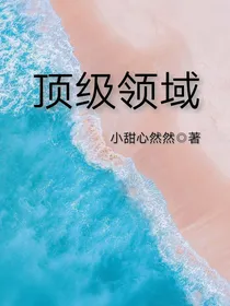顶级领域