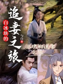 白冰块的追妻之旅