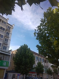 如果我可以有选择