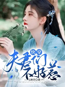 快穿：夫君们不好惹