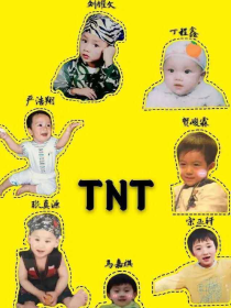 TNT：霸道总裁爱上我（cp篇）