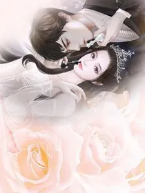 总裁大人，v587