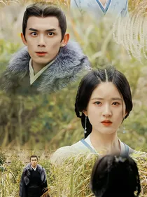 综影视：美男我见一个爱一个